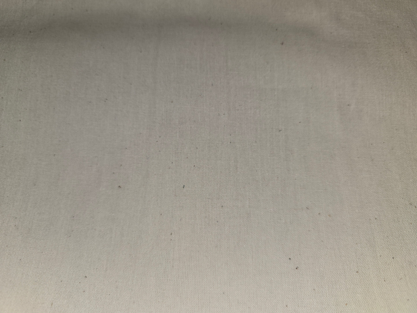 Calico 2m Width